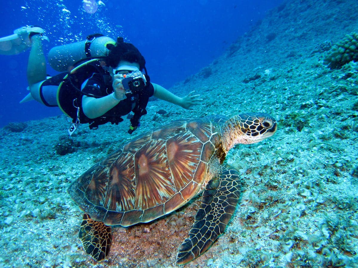7 Best Snorkeling Spots Amalfi Coast (2026)