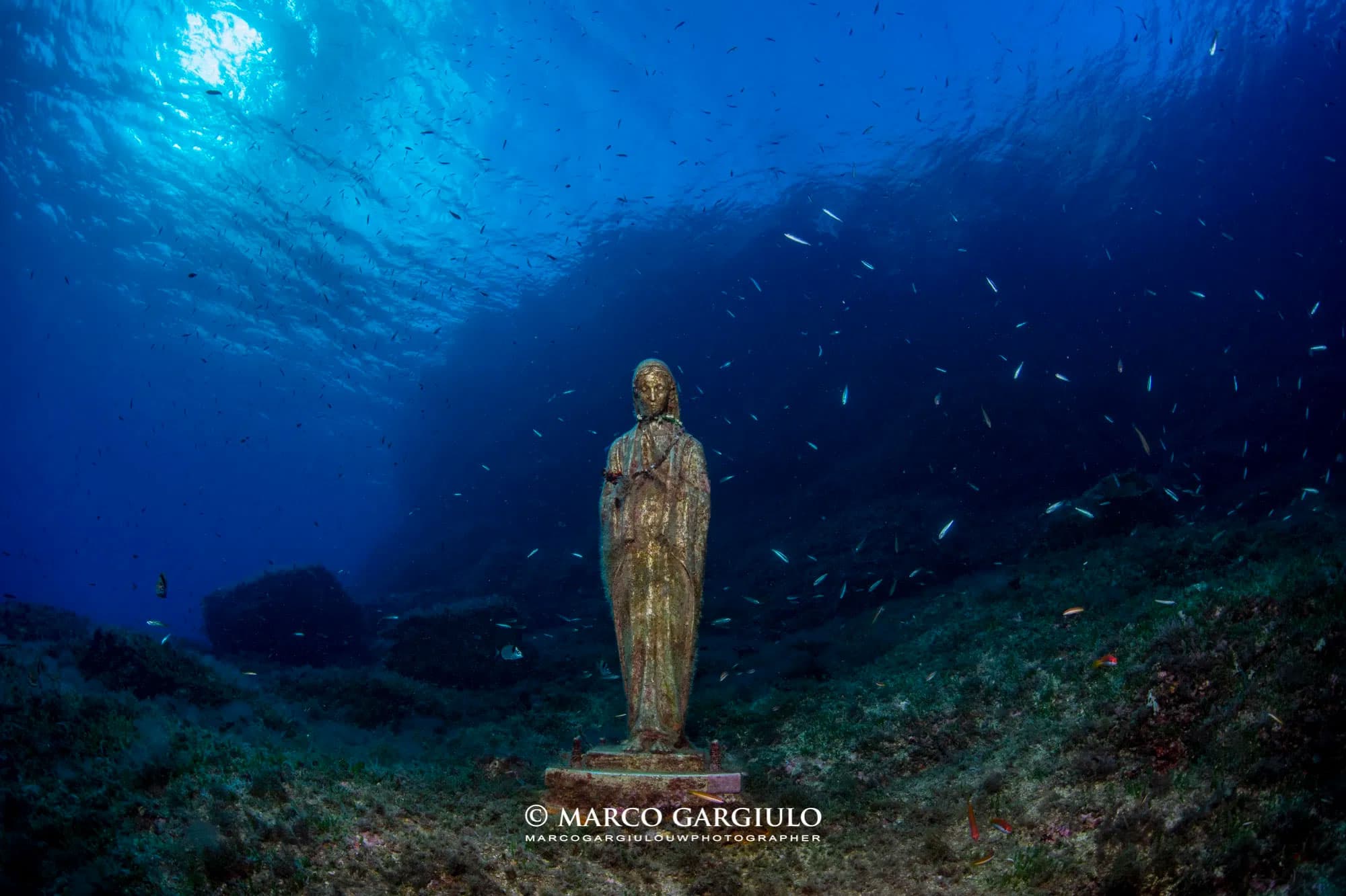 Impara a Immergerti a Sorrento: Corsi PADI dal Principiante al Professionista