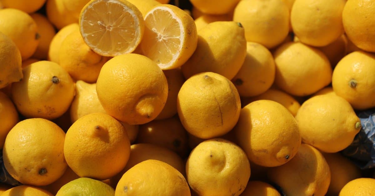 Que manger à Sorrente — Guide gastronomique local 2026