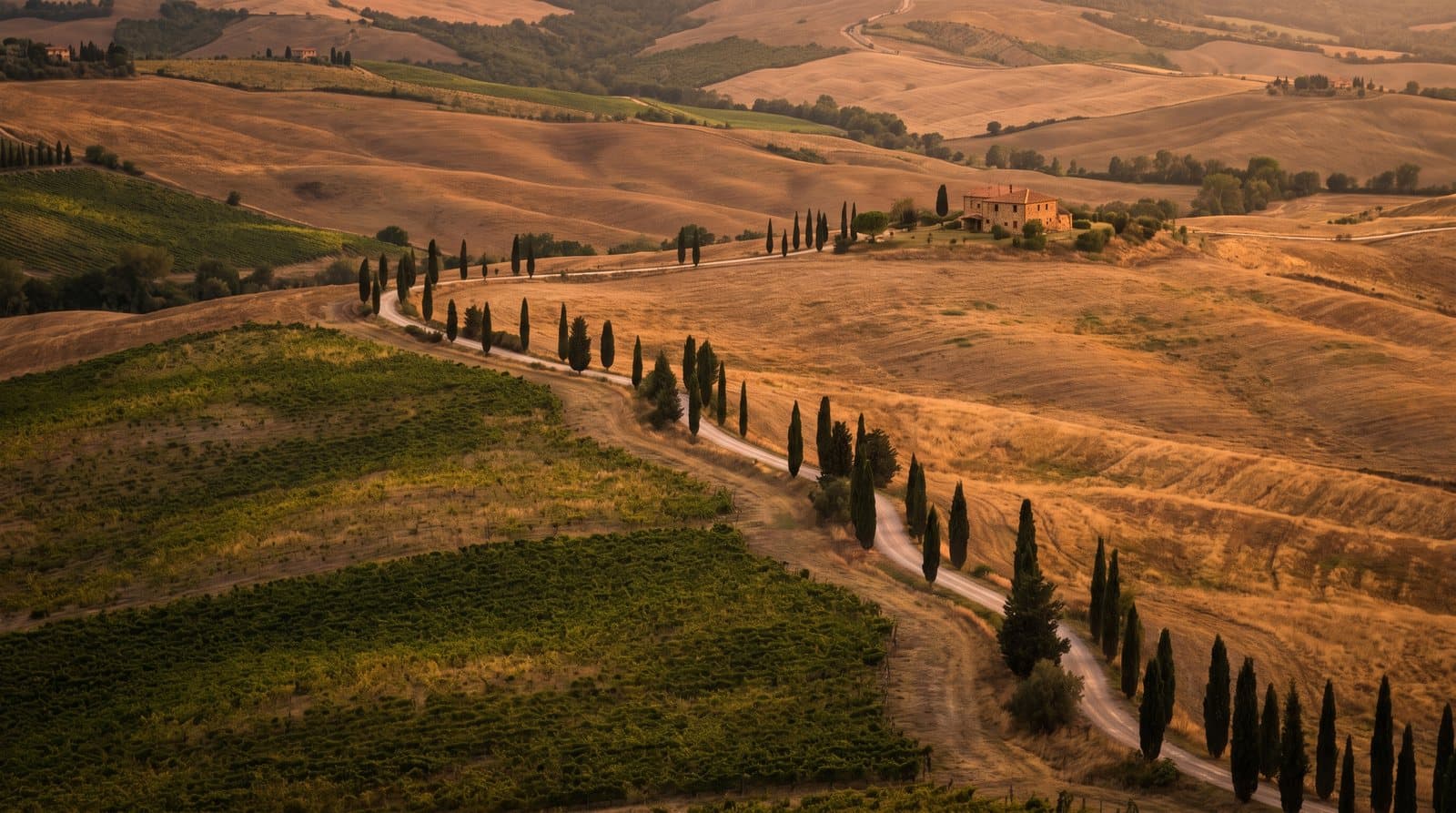 Private transfer Pienza (Val d'Orcia)