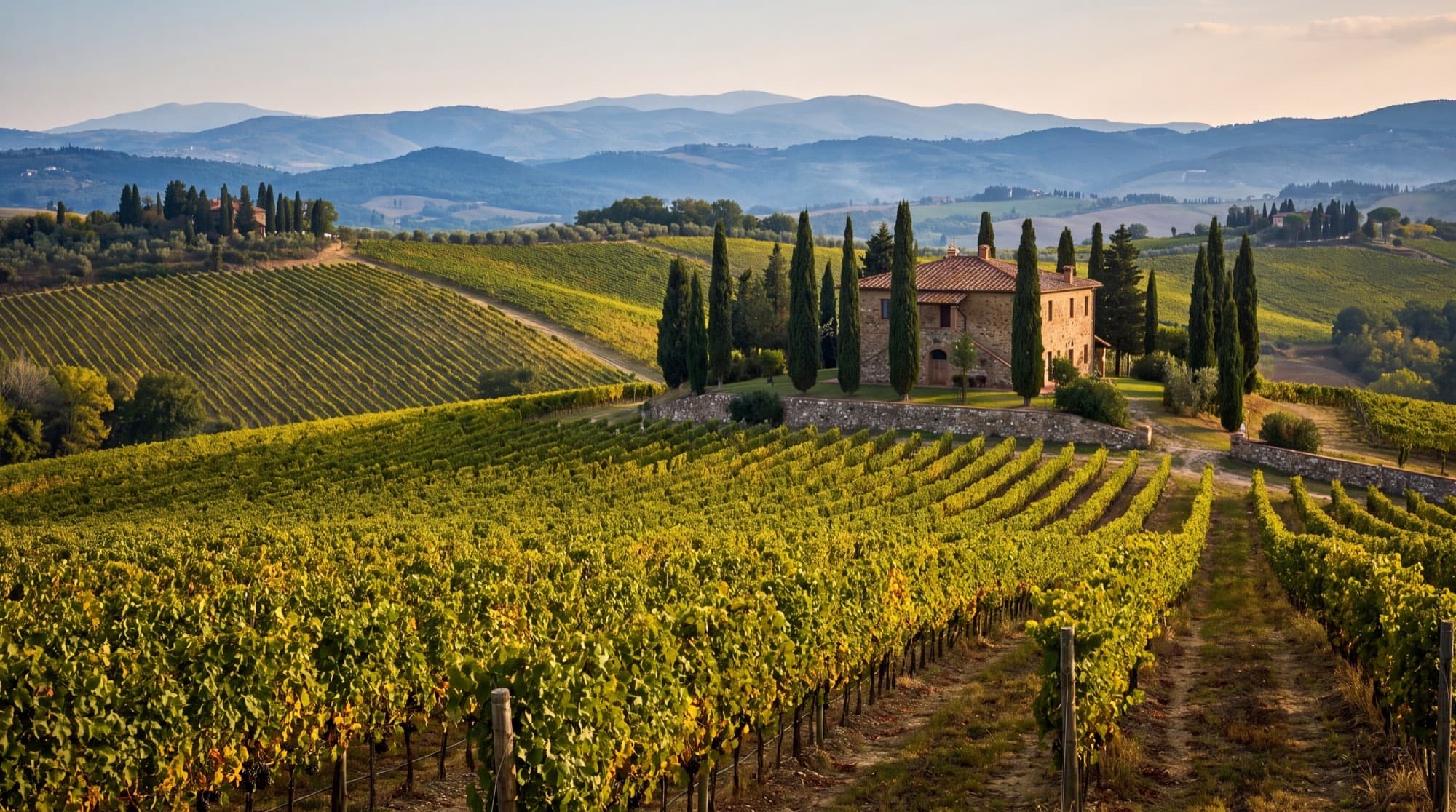 Siena & San Gimignano Day Trip from Rome — photo 5
