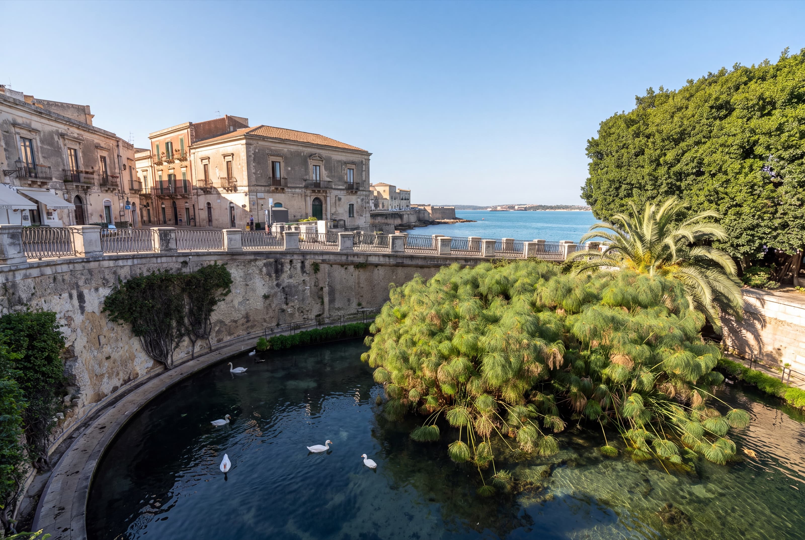 La Fonte Aretusa a Ortigia, con i papiri e il mare del Porto Grande sullo sfondo