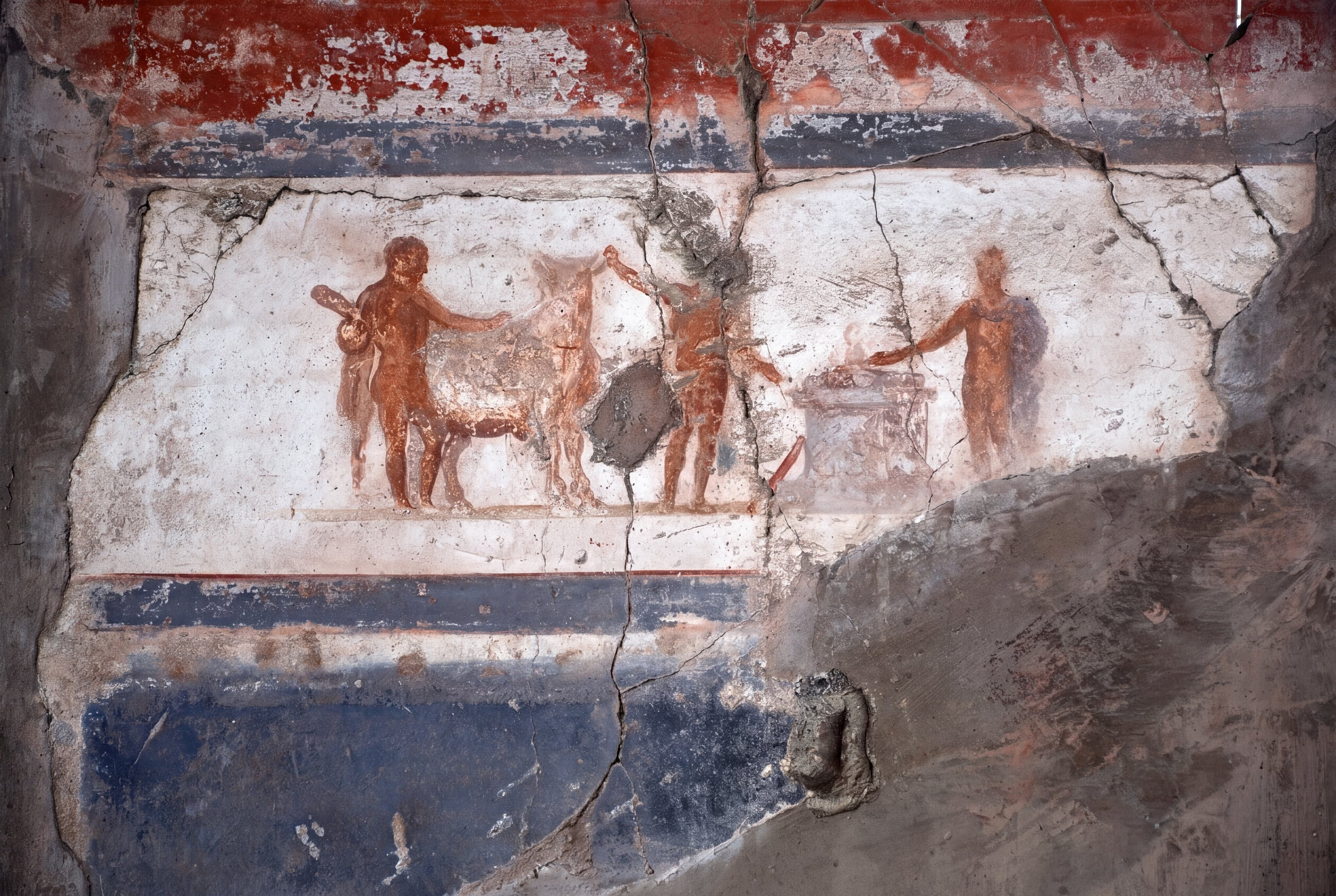 Scavi di Ercolano con autista privato da Napoli — photo 4