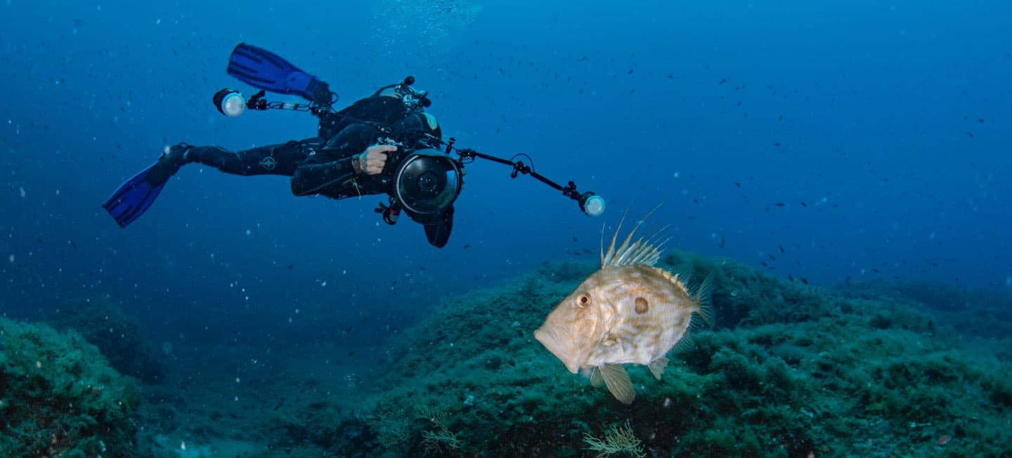 Curso PADI Scuba Diver - 3 Días — photo 4