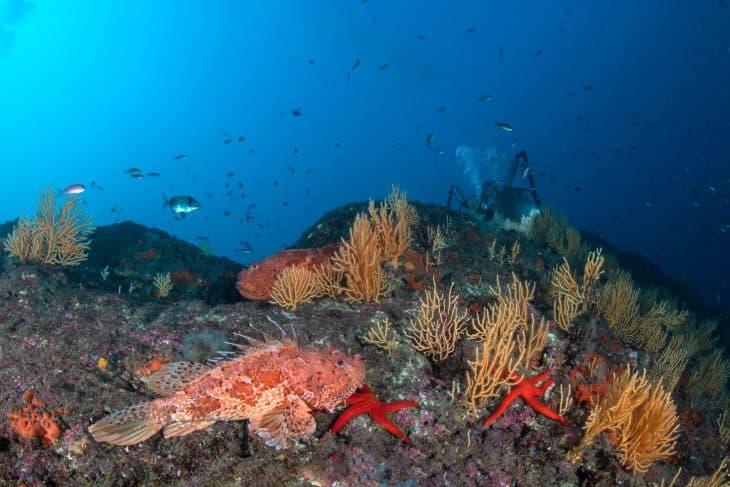 6 Dive Package — Three Days (Certified Divers) — photo 2