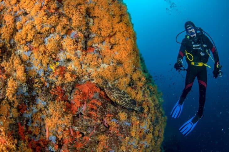 6 Dive Package — Three Days (Certified Divers) — photo 4