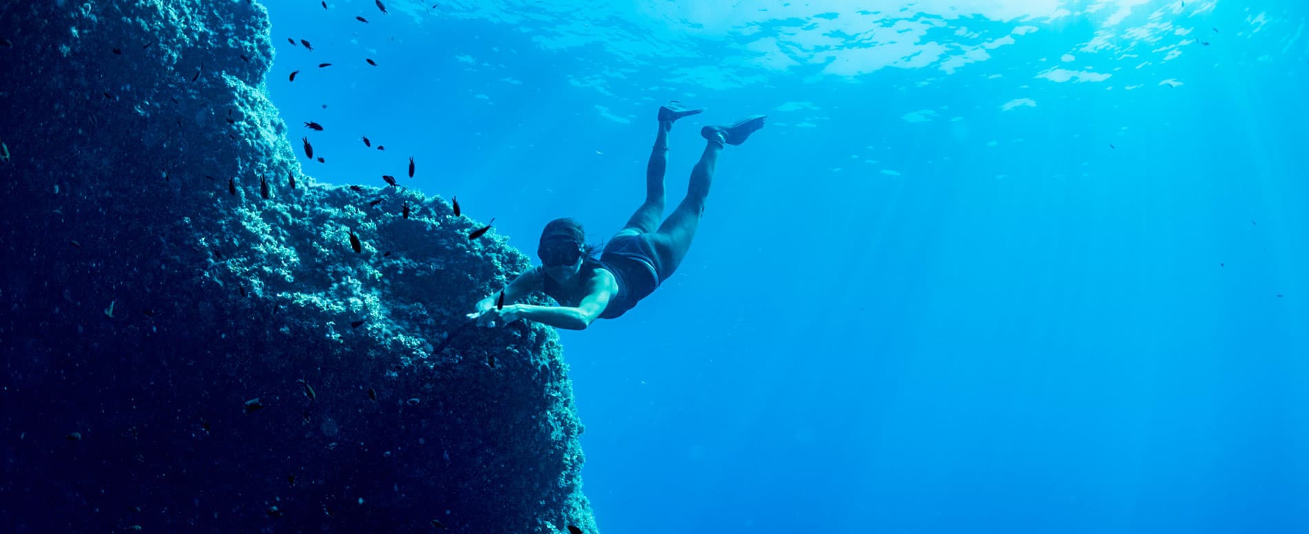Snorkeling Après-midi — Guide Biologiste Marin — photo 3