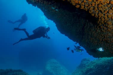Curso PADI Open Water Diver - 4 Días — photo 2