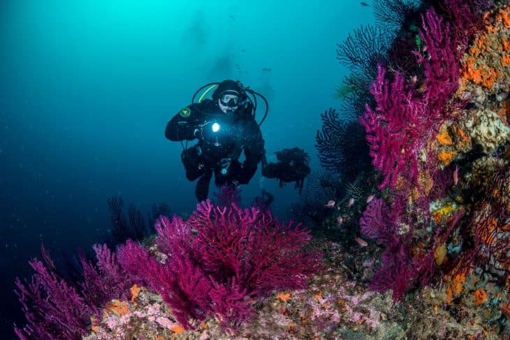 6 Dive Package — Three Days (Certified Divers)