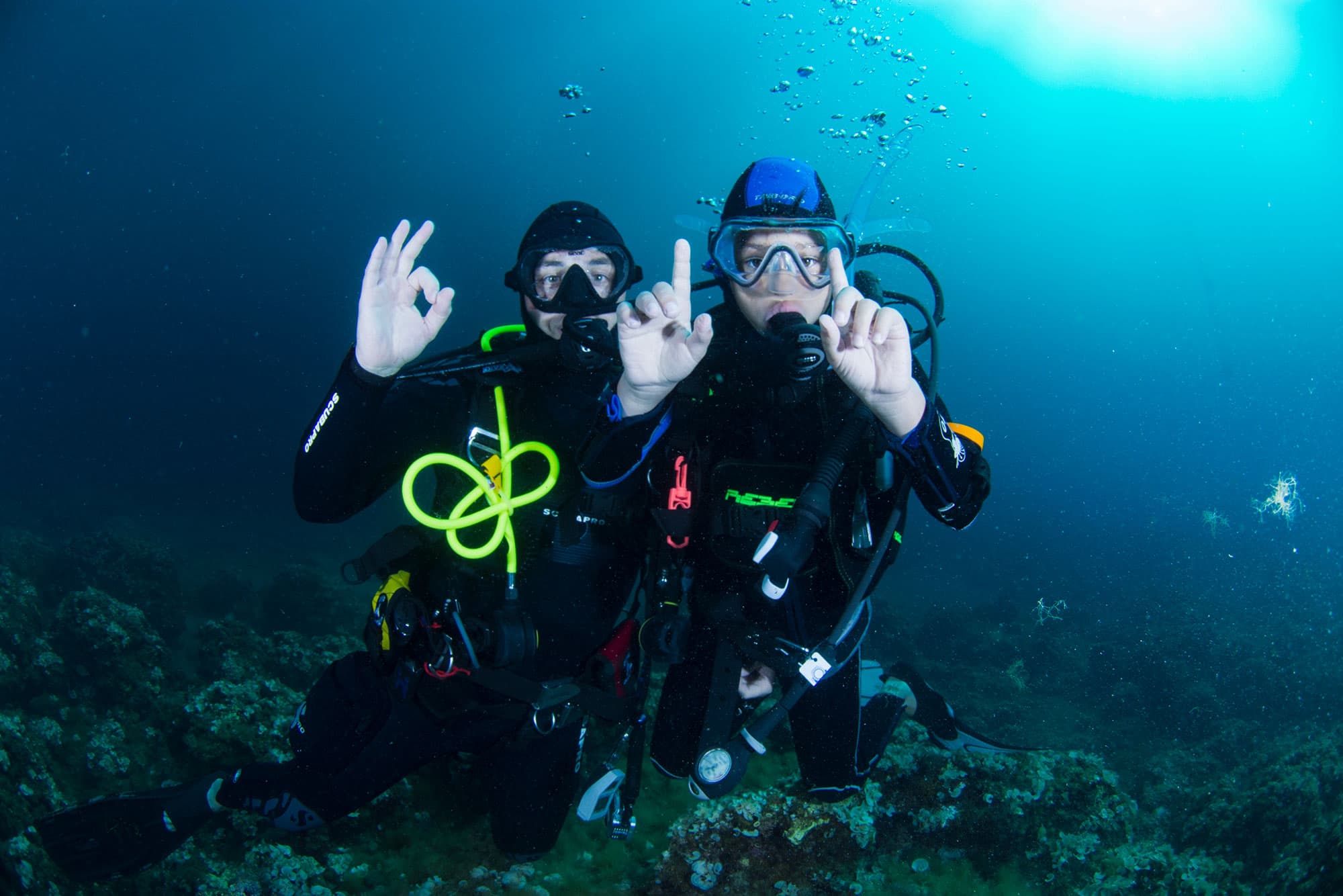 Double Dive — Morning (Certified Divers) — photo 2