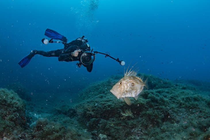 Double Dive — Morning (Certified Divers) — photo 5