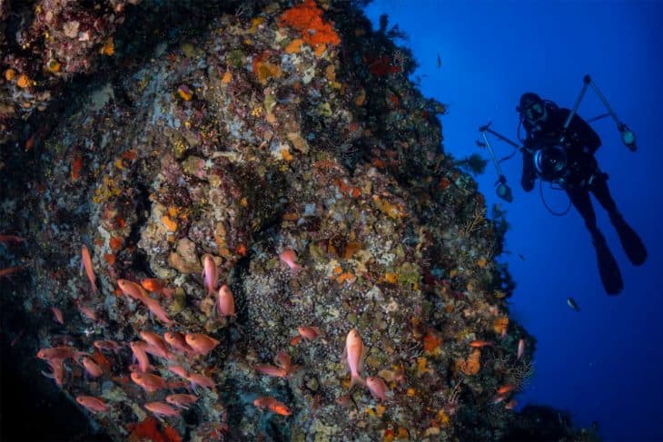 Plongée Simple — Après-midi (Plongeurs Certifiés) — photo 2