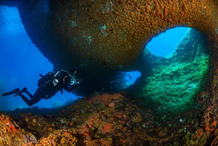 Single Dive — Afternoon (Certified Divers) — photo 4