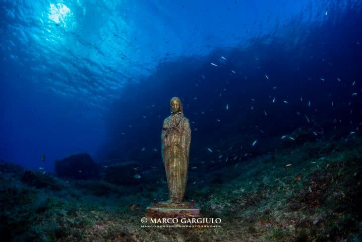 Plongée Simple — Après-midi (Plongeurs Certifiés) — photo 5