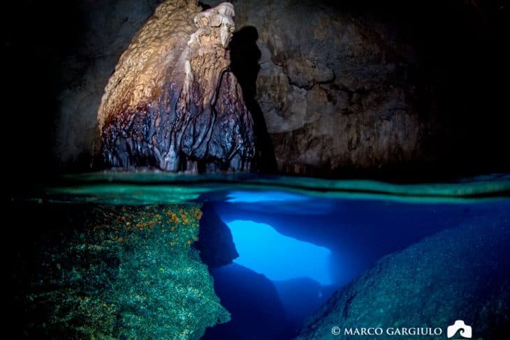 Double Dive — Morning (Certified Divers) — photo 3