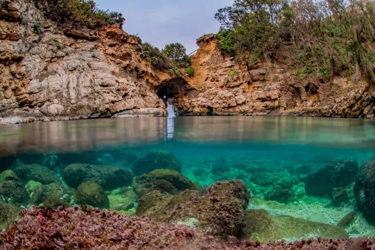 Forfait 6 Plongées — Trois Jours (Plongeurs Certifiés) — photo 3