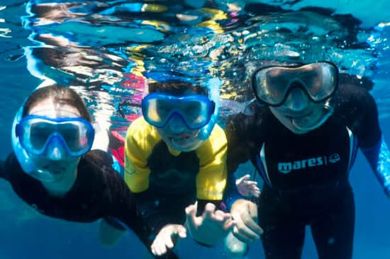 Snorkeling Demi-Journée — Guide Biologiste Marin — photo 5