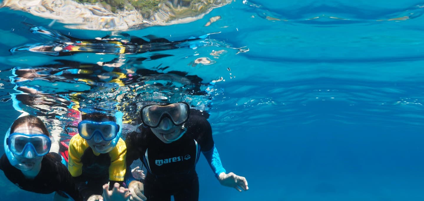 Snorkeling Après-midi — Guide Biologiste Marin — photo 6