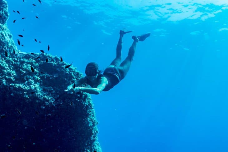 Snorkeling Après-midi — Guide Biologiste Marin — photo 2