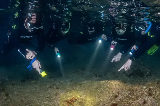 Snorkeling au Coucher du Soleil — Expérience aux Flambeaux — photo 1