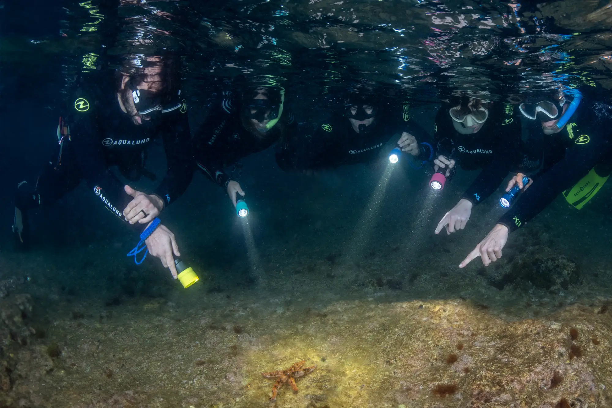 Sunset Snorkeling — Torchlight Experience
