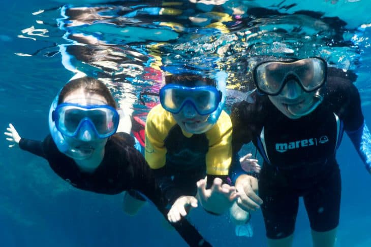 Snorkeling Half Day — Marine Biologist Guide
