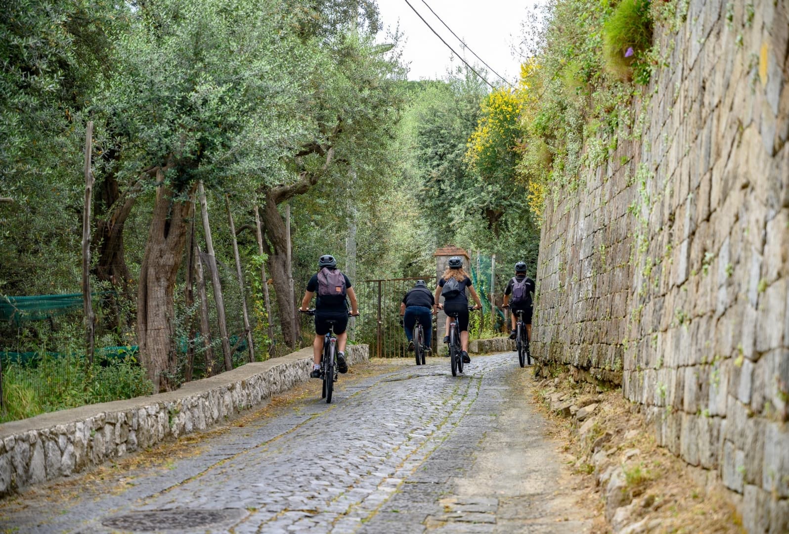 Taste and Nature E-Bike Tour — photo 4