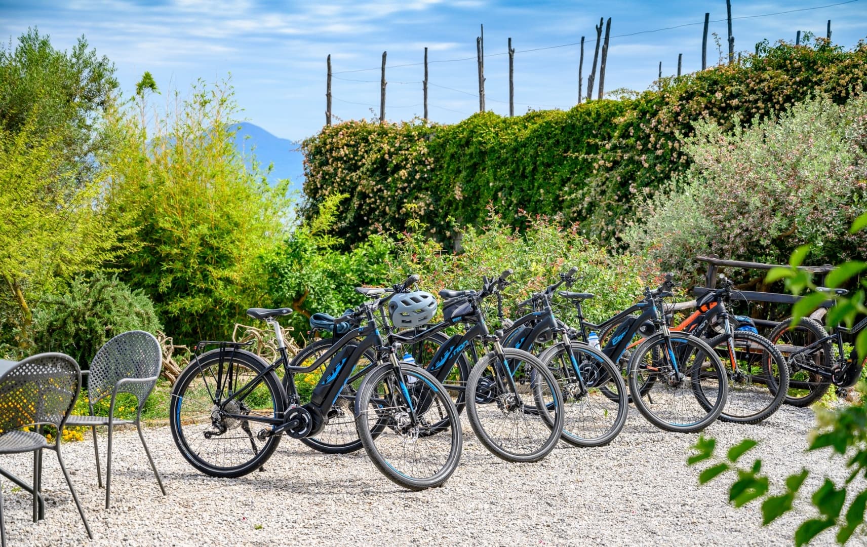 Taste and Nature E-Bike Tour — photo 8