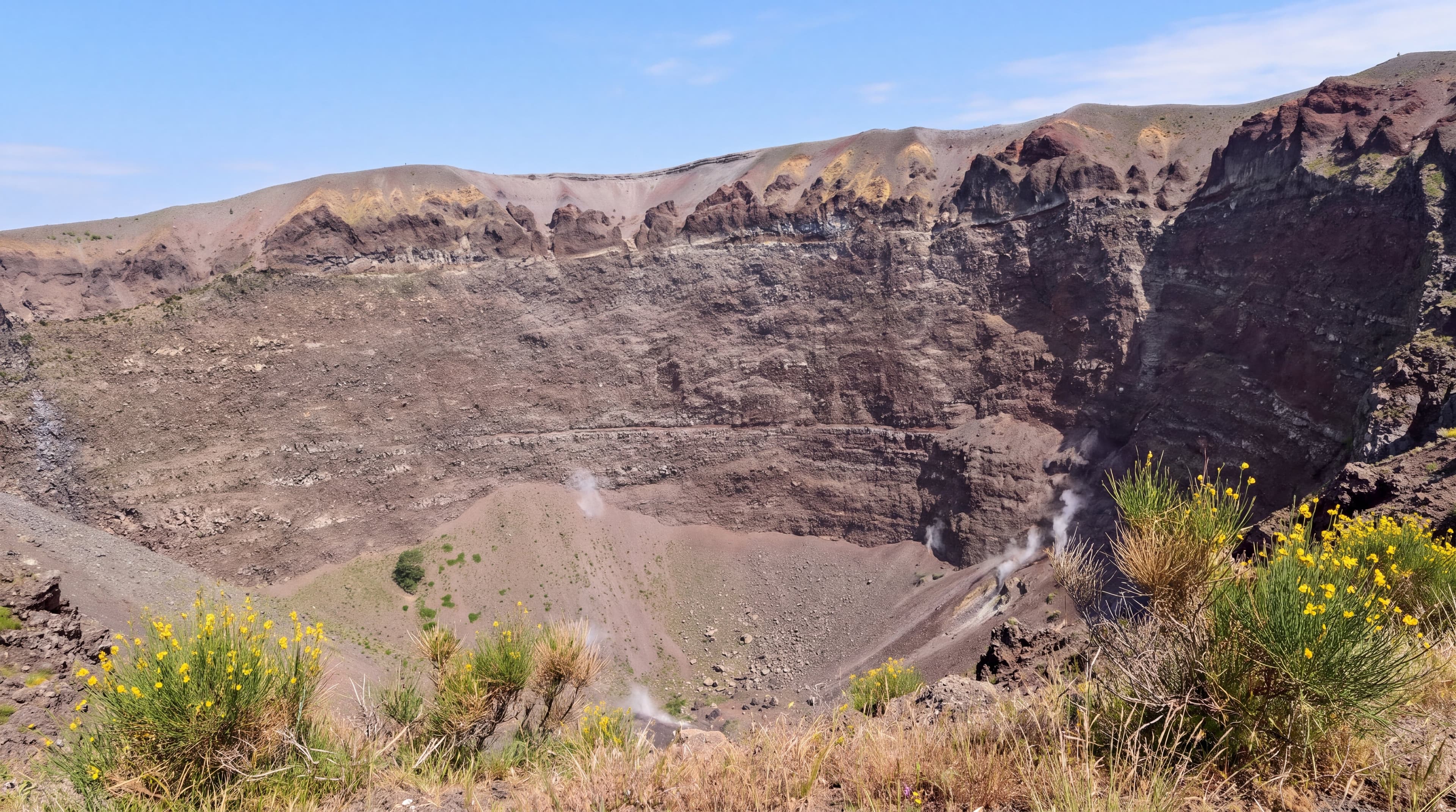 Vesuvio con autista privato da Napoli