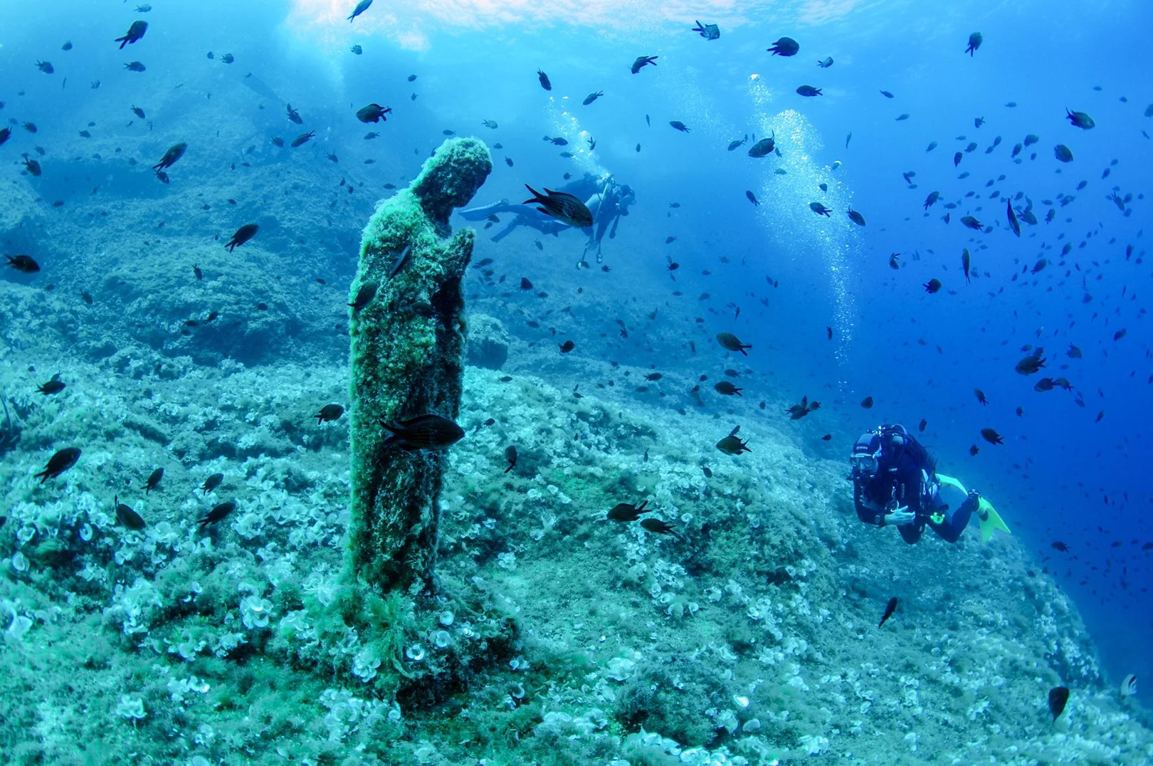 Certification Options in Sorrento