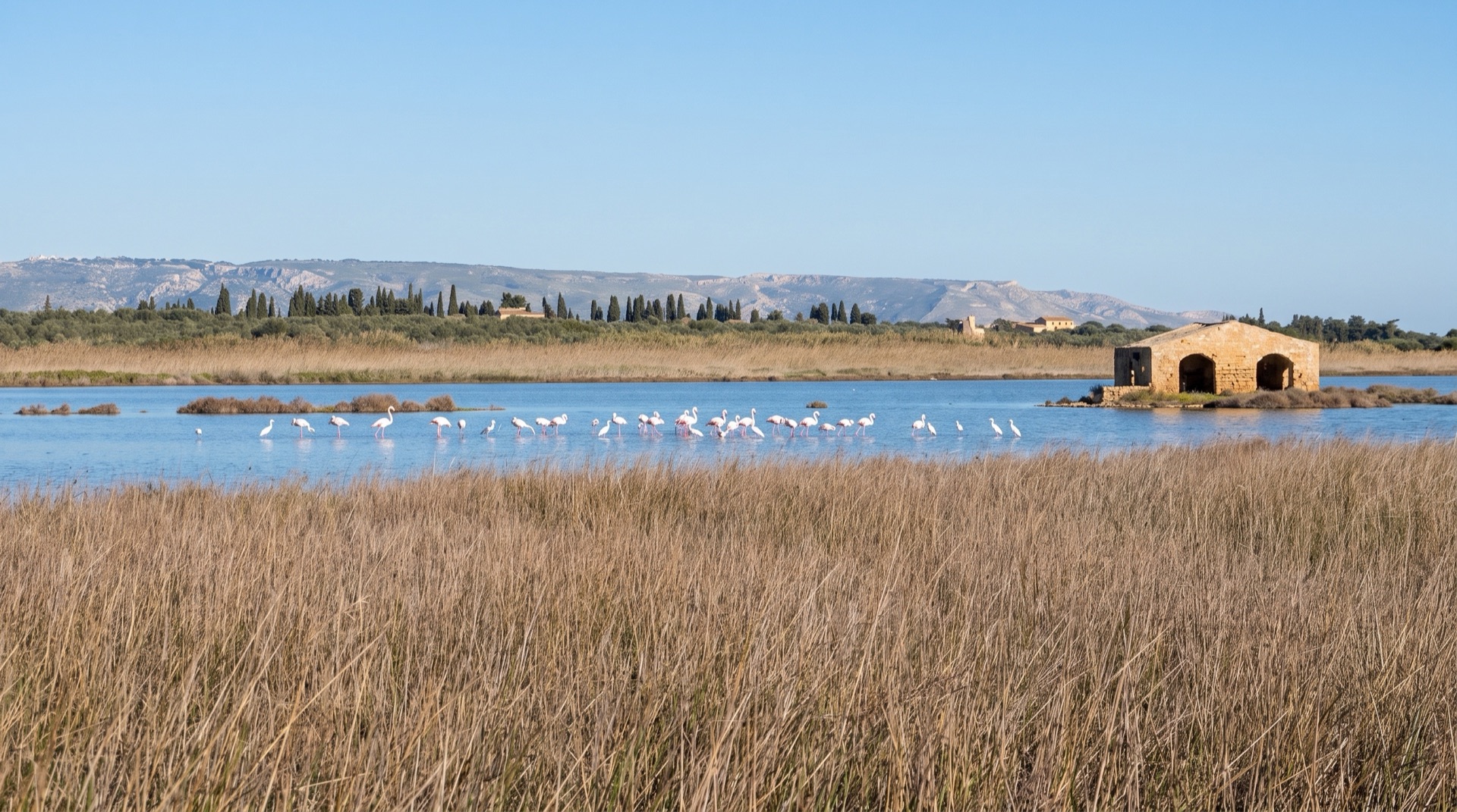 Birds on the salt lagoon near Marzamemi, the wetland landscape between the village and the Vendicari nature reserve